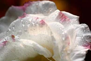 铁路建造管理模拟游戏《异星铁路》 2023年内推出